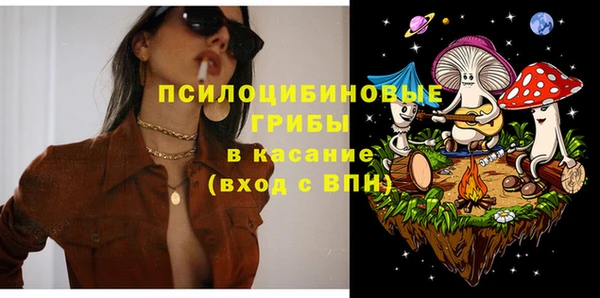 2c-b Инта